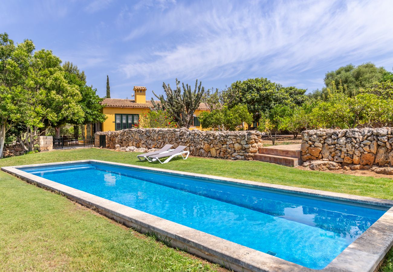 Country house in Manacor - Ses Cases Son Blat Holiday House Mallorca 6 pax