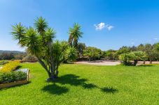 Country house in Manacor - Sestador Blat, Finca 5StarsHome Mallorca